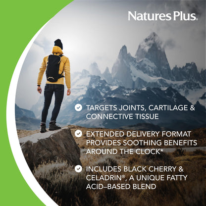 NaturesPlus Ultra Rx-Joint Triple Strength - 120 Tablets (Pack of 2)