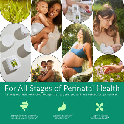 Needed Balance Prenatal Prebiotic & Probiotic — 60 Capsules