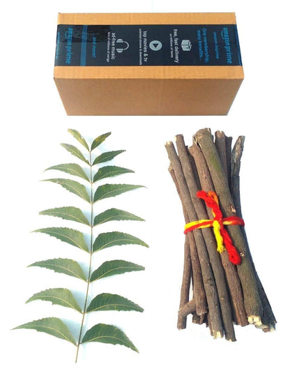 Ayurvedic Neem Datun - Organic Toothbrush Twig (5-7 in) Pack of 10