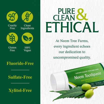 Neem Fluoride Free Toothpaste - Vegan, Gluten Free, Clove & Stevia (2 Pack)