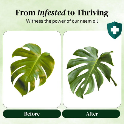 Neem Oil for Plants (Makes 480 fl oz) with Spray Bottle & Essential Oils | Indoor & Outdoor Garden