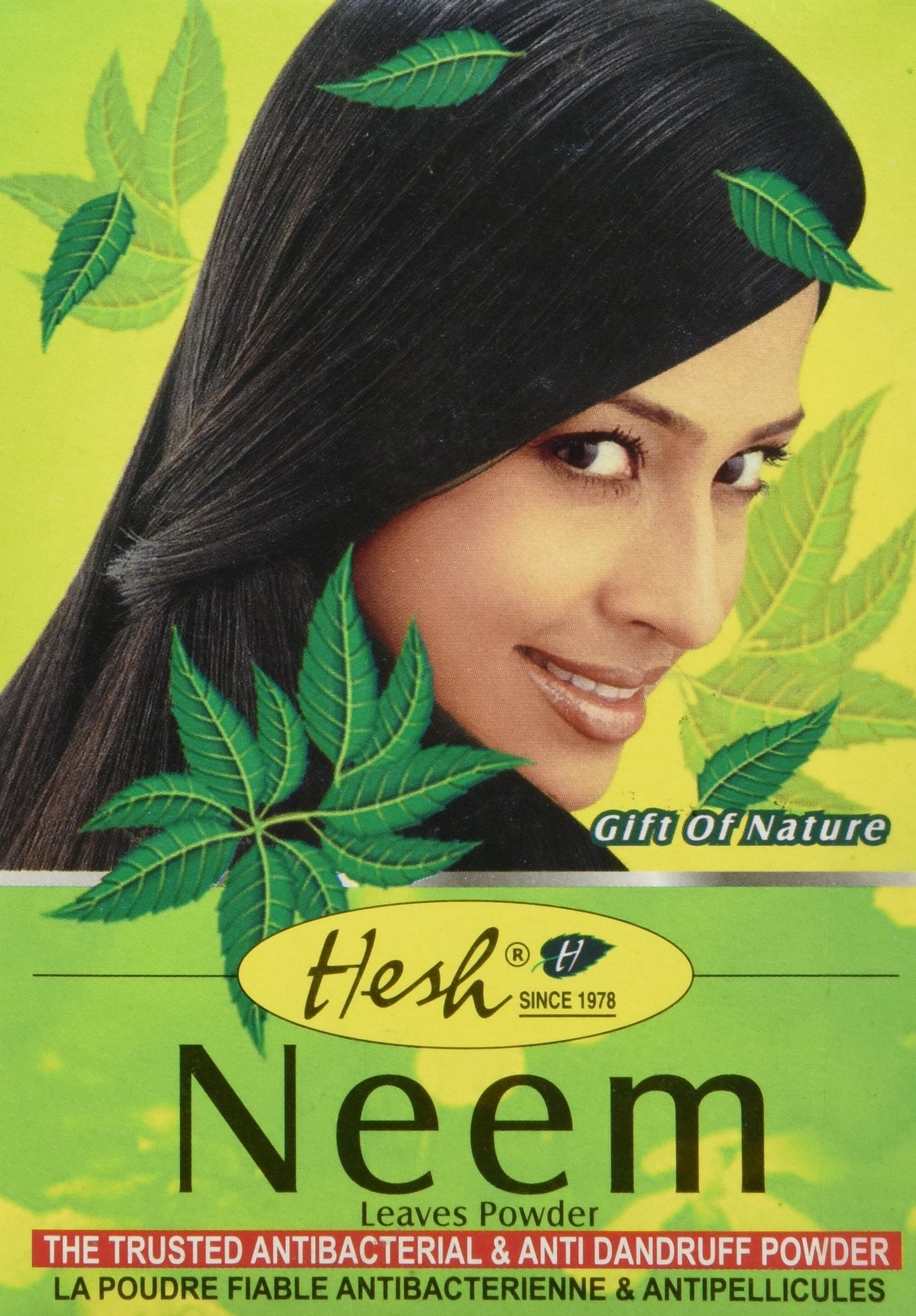 Neem Powder 100 Gram by Hesh - Natural Neem Leaf Powder for Hair & Skin