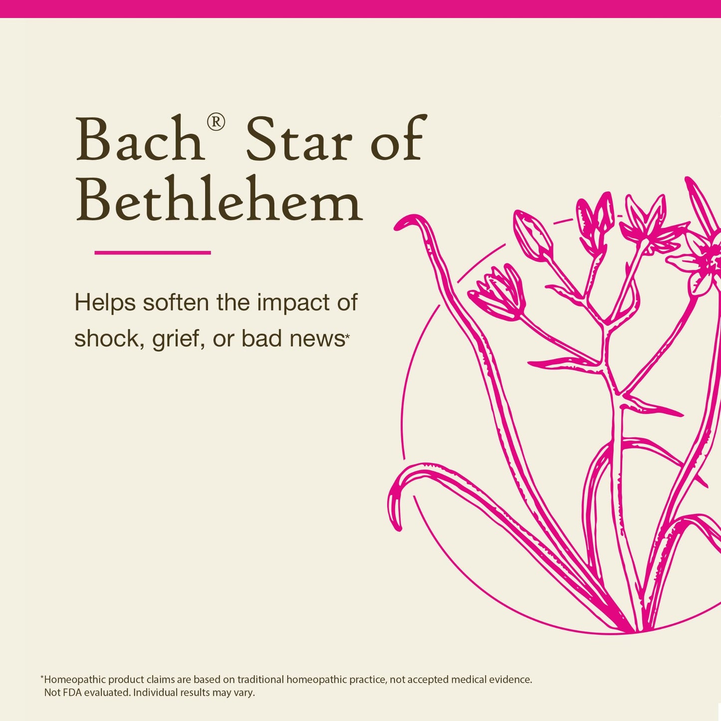 Nelson Bach Original Flower Remedies Star of Bethlehem – Neutralize Grief | 0.7 Fl Oz (20 ml) Pack of 1