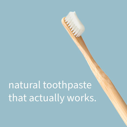 Nelson Naturals Citrus Spice Blend Fluoride Free Toothpaste 3.3 oz – Zero Waste Packaging