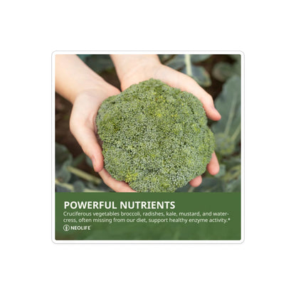 NeoLife Cruciferous Plus - Green Nutrient Blend from Cruciferous Vegetables | 60 Tablets
