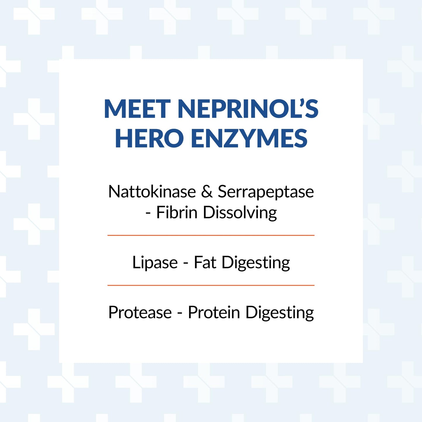 Arthur Andrew Medical Neprinol AFD - Multi Enzyme Blend with Serrapeptase & Nattokinase (300 Count)
