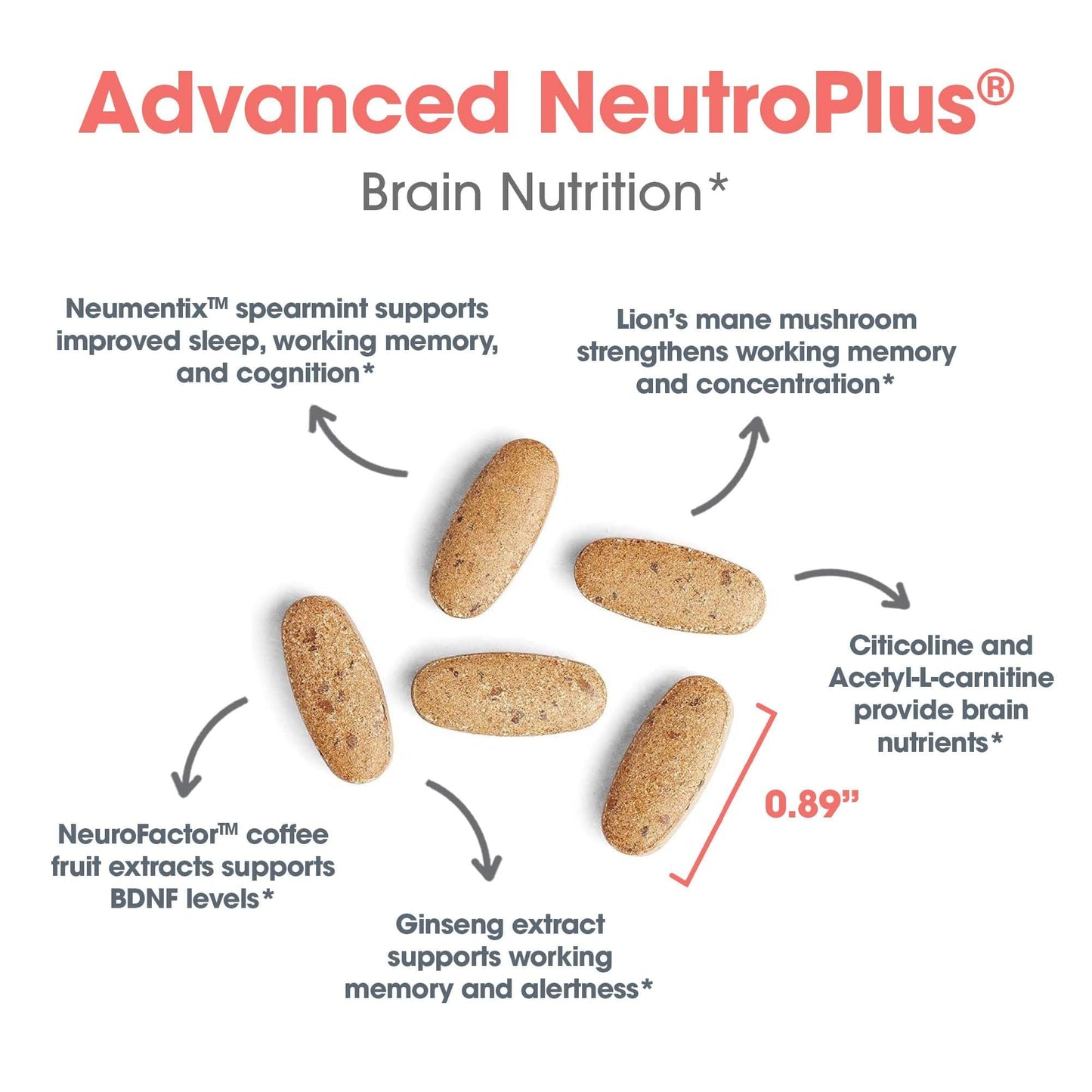 Allergy Research Group Advanced NeuroPlus Supplement - Memory & Focus Support, for Brain Function Health, Lion's Mane, Vegetarian Capsules - 90 Count