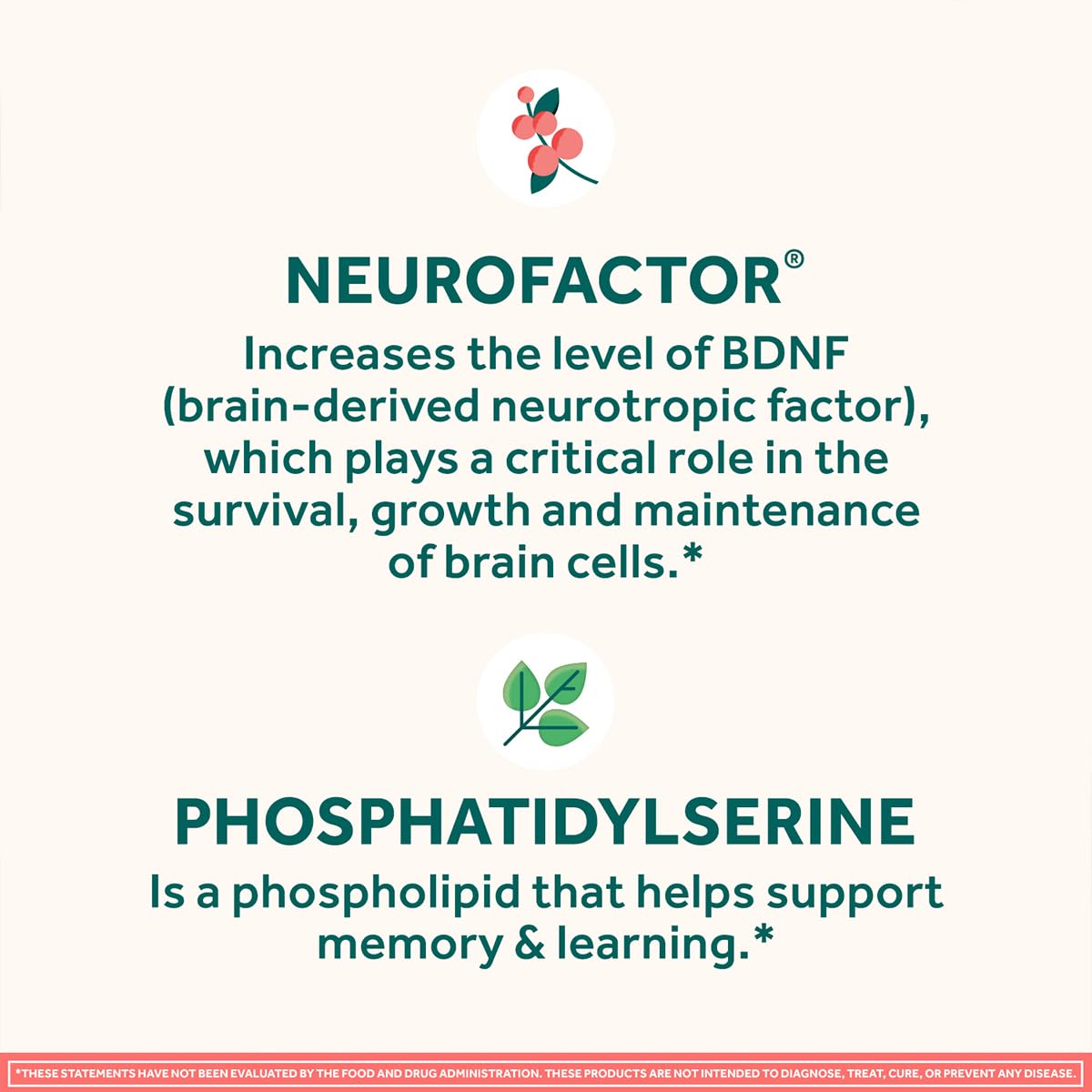 NEURIVA Original Gummies — Focus, Memory & Learning Support (Strawberry)