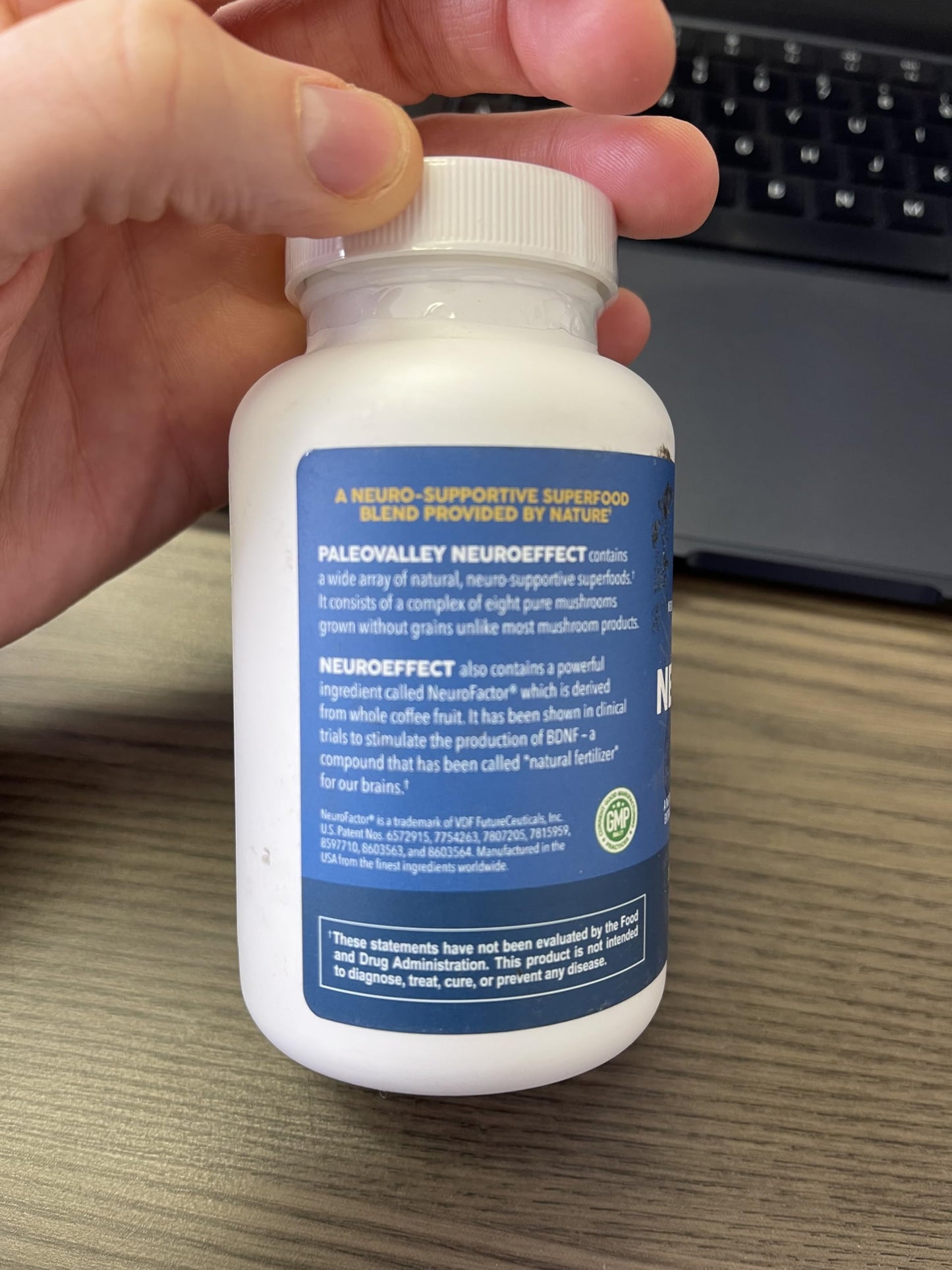 Paleovalley NeuroEffect: Focus, Memory & Energy with 8 Mushroom Extracts | 28-Day Supply