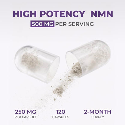 Neurogan NMN Supplement Capsules – 500 mg NMN, 120 Ct | Brain Focus & Cellular Energy