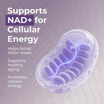 Neurogan NMN Supplement Capsules – 500 mg NMN, 120 Ct | Brain Focus & Cellular Energy