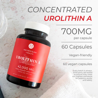 Neurogan Urolithin A 700mg Capsules – Postbiotic Cellular Health, 60 Count – Made in USA