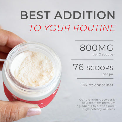 Neurogan Urolithin A Powder 800mg – Daily Wellness, Vegan & Gluten-Free | 30.4g