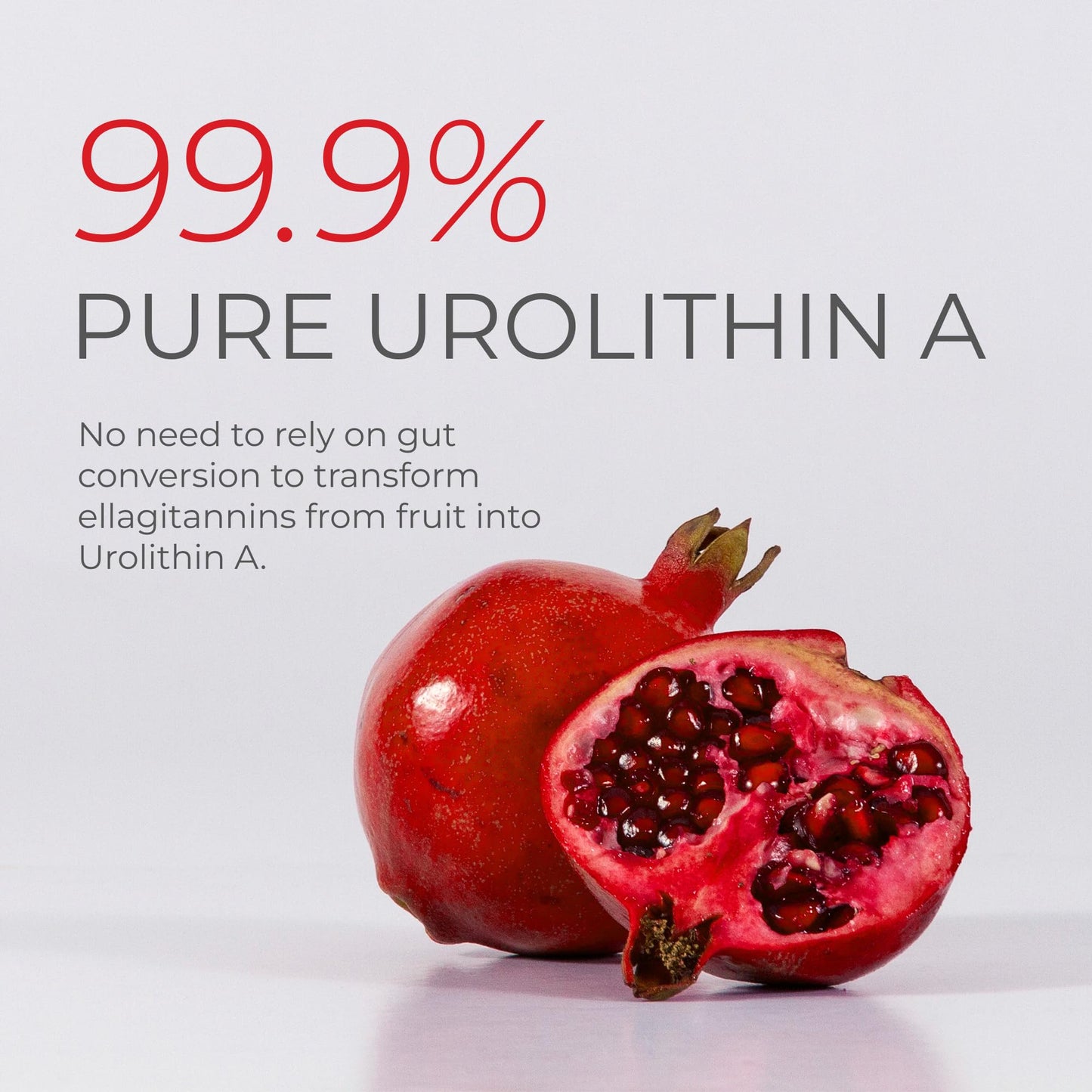 Neurogan Urolithin A PRO Capsules - 1000mg, 120 Count | Ultra Micronized Urolithin A