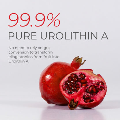 Neurogan Urolithin A PRO Capsules - 1000mg, 120 Count | Ultra Micronized Urolithin A