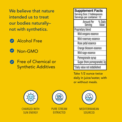 NORTH AMERICAN HERB & SPICE Neuroloft – 12 fl oz Daily Tonic for Antioxidant Support – Non-GMO, 12 Servings