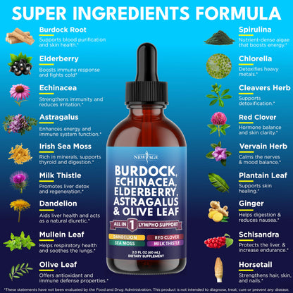 NEW AGE Lymphatic Drainage Drops - Burdock Root & Immune Support (8 oz)