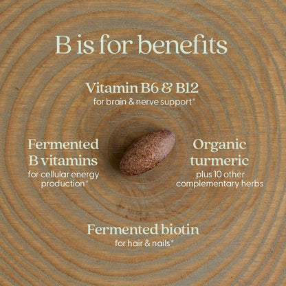 New Chapter Vitamin B Complex – Fermented Coenzyme B, Organic 90 ct