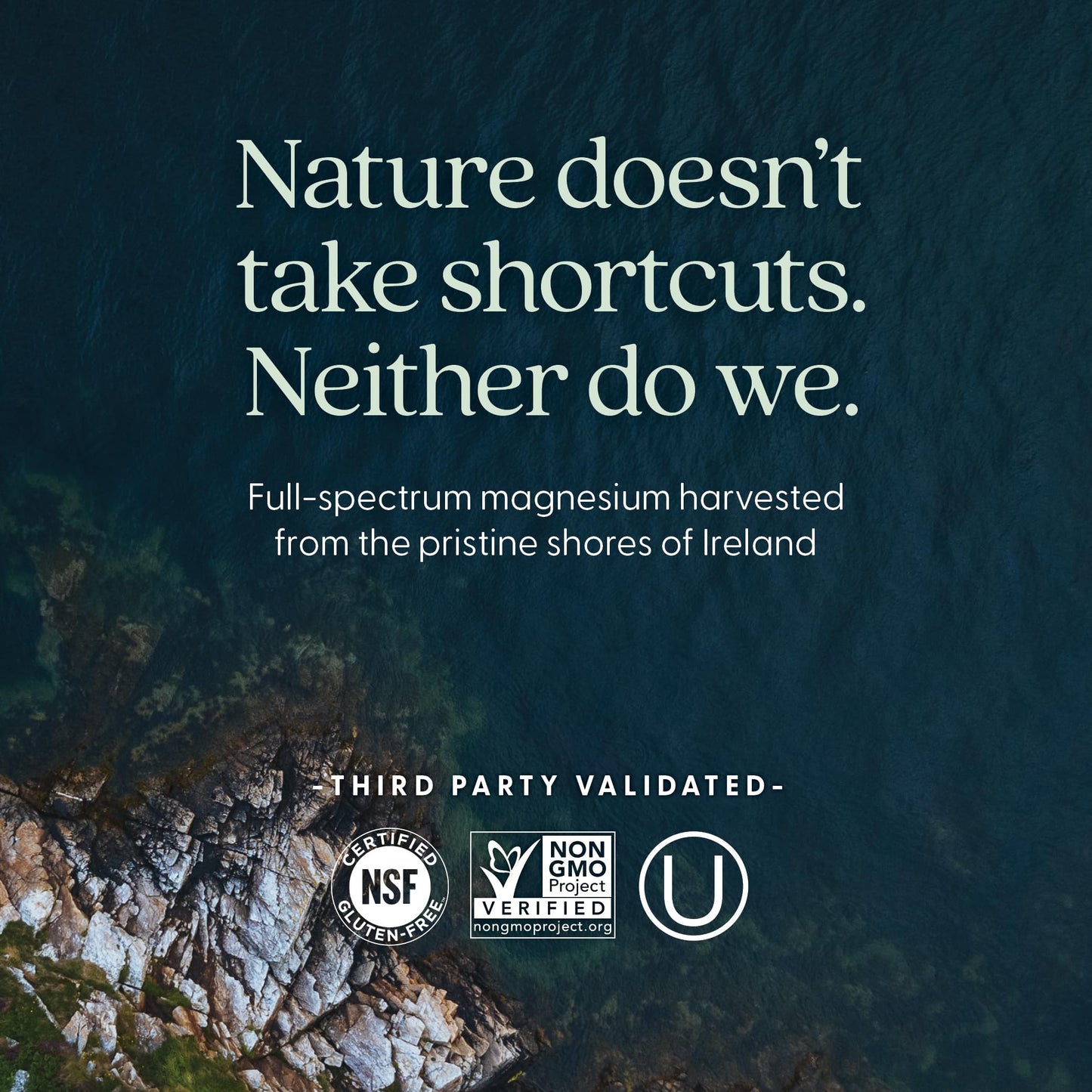 New Chapter Magnesium-Selenium-Zinc Supplement | 325 mg Mg | 90 Count