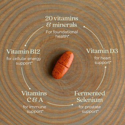 New Chapter Men's Multivitamin 55+ — One Daily, Fermented, Non-GMO, Immune & Brain Health, 96 Tablets