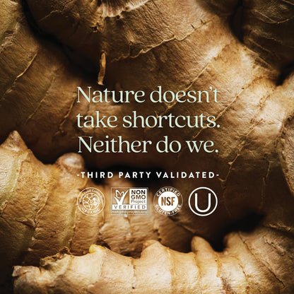 New Chapter Men's Multivitamin - One Daily, Fermented & Immune Support