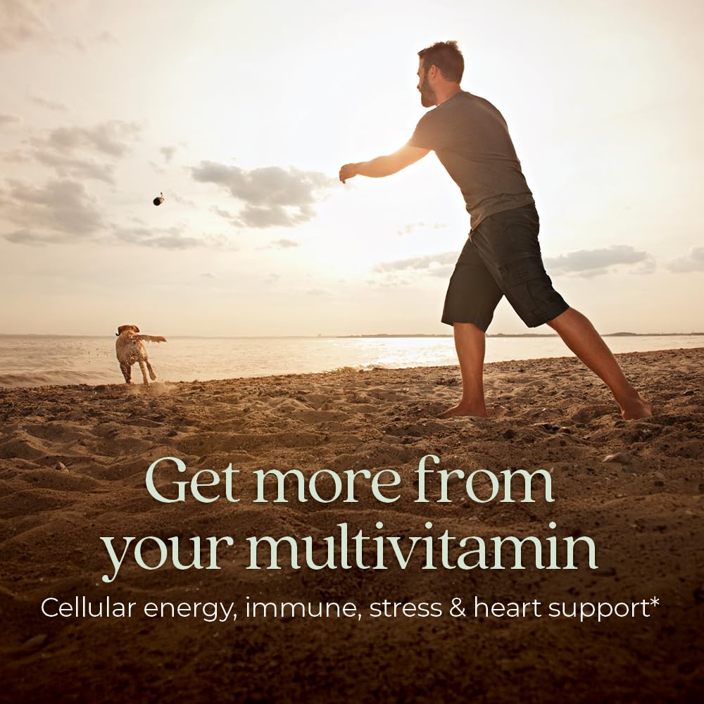 New Chapter Men's Multivitamin - One Daily, Fermented & Immune Support