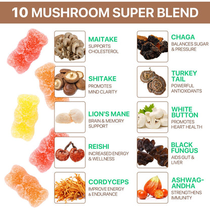 Newseel Lions Mane Mushroom Gummies – Reishi & Cordyceps, Energy & Immunity (80 Gummies)