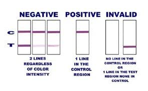 Nicotests Ultra-Sensitive Smoking Test Kit - Saliva Nicotine 10 ng | 5-Pack