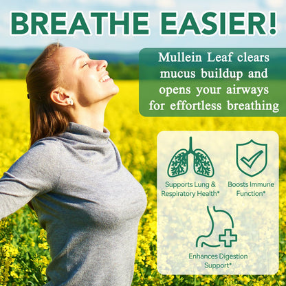 NIFEISHI Mullein Gummies for Lungs – 2000mg Mullein Leaf, Pear Flavor, 60 Gummies