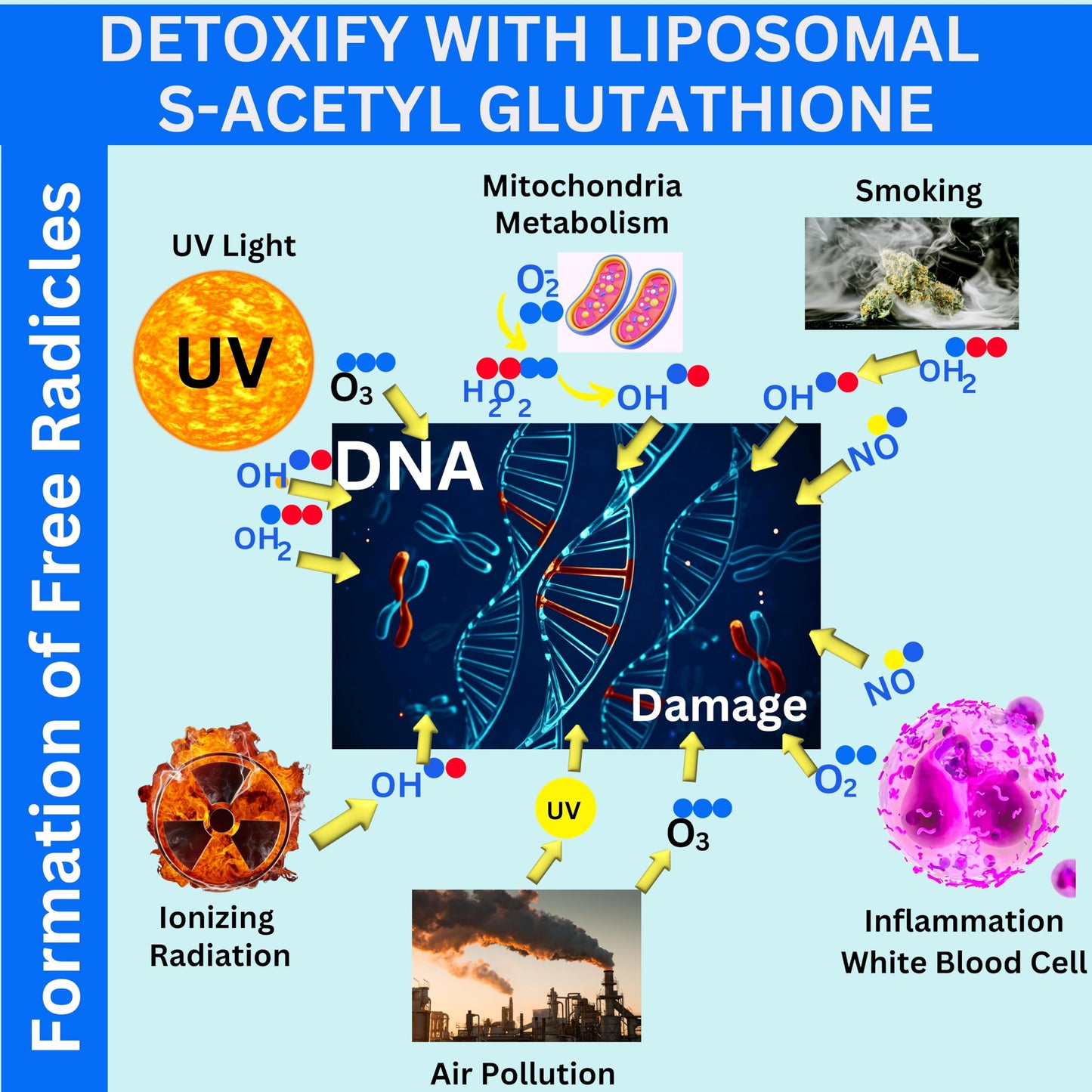 Nikoni Liposomal S-Acetyl L-Glutathione, Resveratrol, HA & Collagen - 500 mg