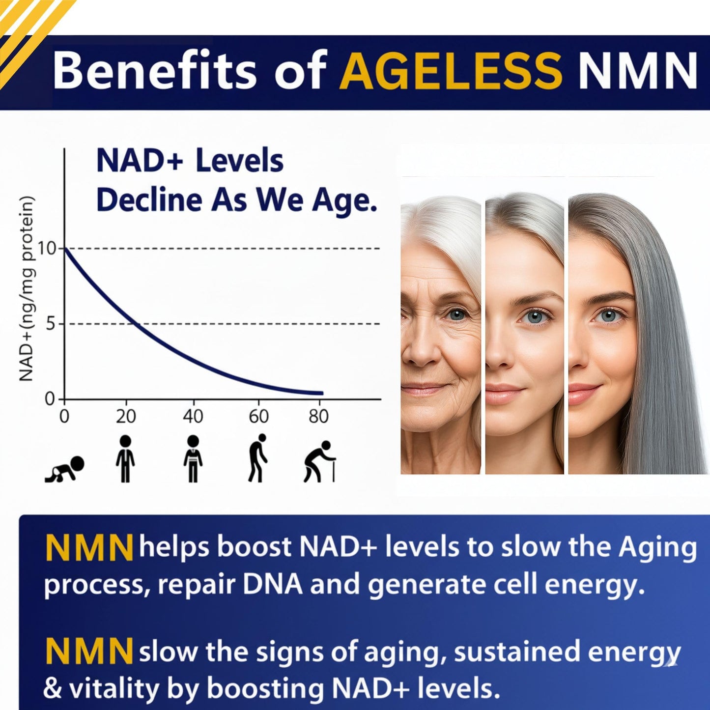 NMN Supplement 500mg Nicotinamide Mononucleotide | Supports NAD+ Levels, Energy, Cognitive Function, Muscle Health & Healthy Body Composition – Capsules (30)