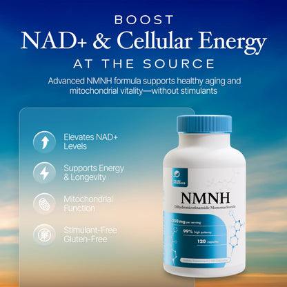 Prime Powders NMNH: Dihydronicotinamide Mononucleotide NAD+ Support (120 Capsules)