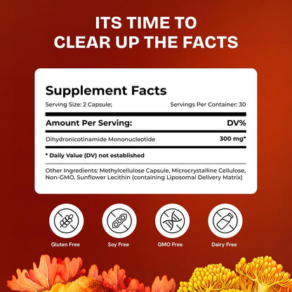 Resurrected Health Liposomal NMNH (300mg) – NAD+ Booster for Energy, Focus - 60 Capsules (4 Packs)