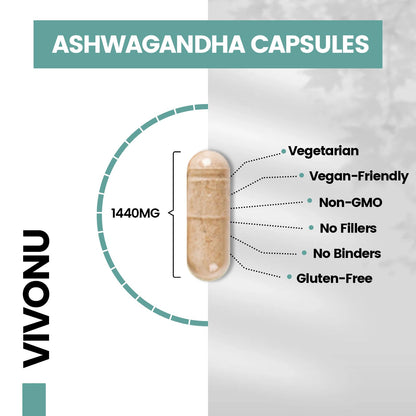 VivoNu Ashwagandha Vegan Capsules – KSM-66, Black Pepper, 60 Count