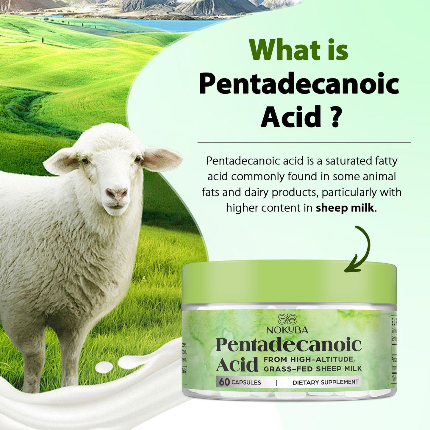 Nokuba Pentadecanoic Acid C15:0 300mg – High-Altitude Sheep Milk Sourced, 120 Capsules | USA Made