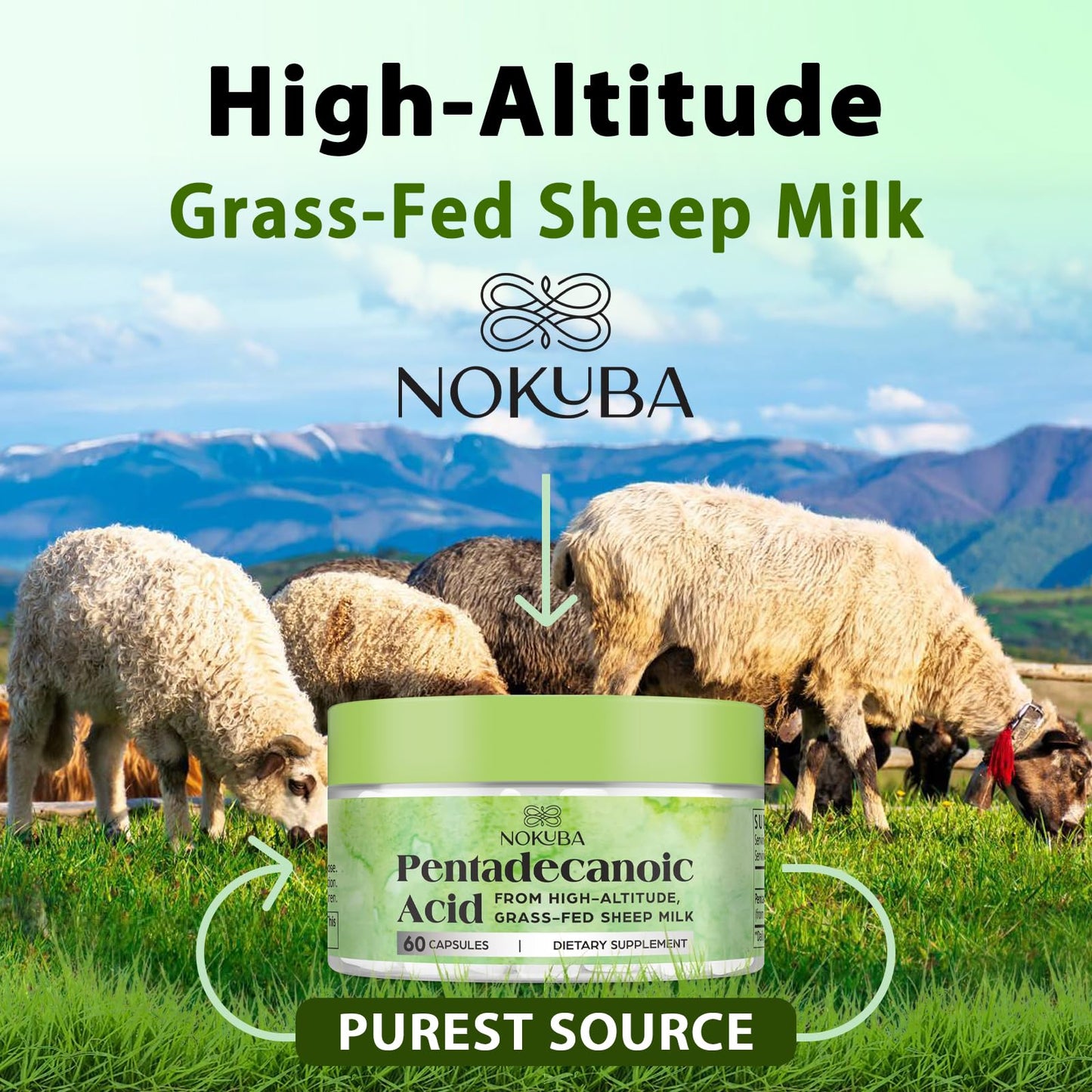 Nokuba Pentadecanoic Acid C15:0 300mg – High-Altitude Sheep Milk Sourced, 120 Capsules | USA Made