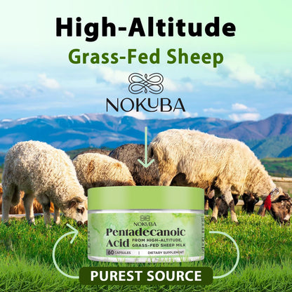 Nokuba Pentadecanoic Acid C15:0 300mg – High-Altitude Sheep Milk Sourced, 120 Capsules | USA Made