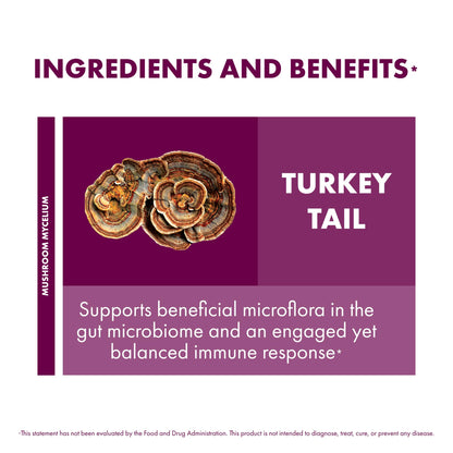 Host Defense Turkey Tail Capsules - 240 ct (Two 120 ct) - Immune & Digestive Health