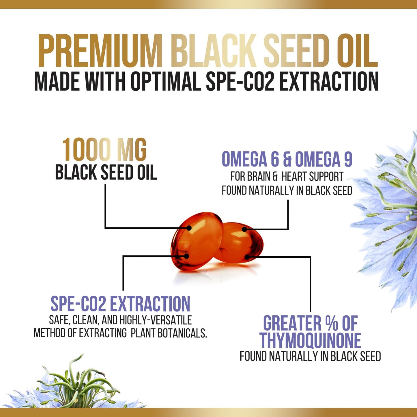 Black Seed Oil Softgels 1000mg – Nigella Sativa, Pure Black Cumin Oil, 60 Softgels | Non-GMO, USA Bottled