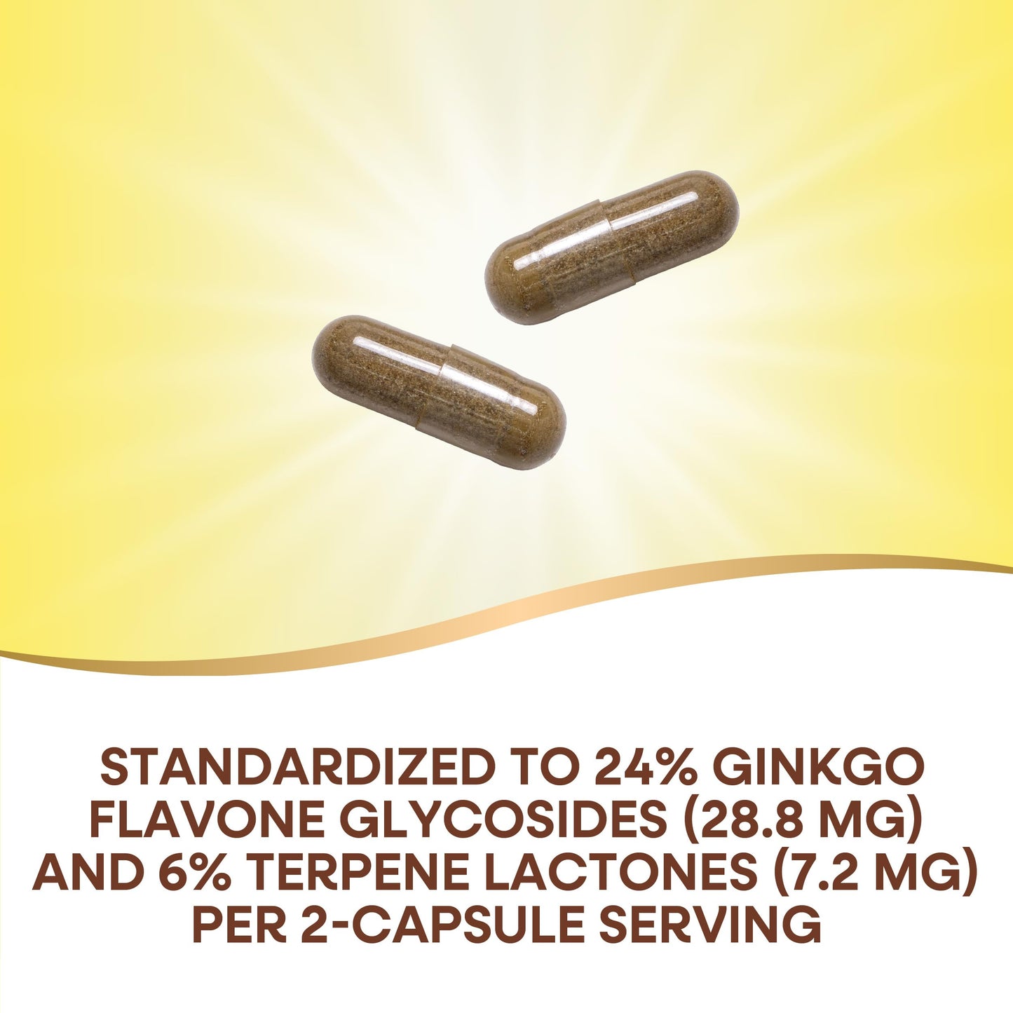Nature's Way Premium Ginkgo Memory & Concentration – 120 Capsules
