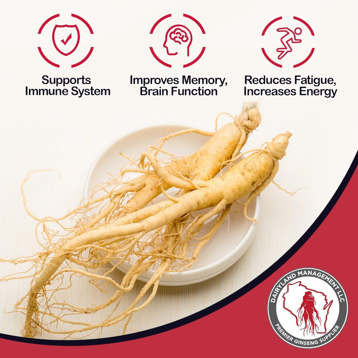 Dairyland Concentrated American Ginseng Powder 西洋参 - 8 oz Pack of Wisconsin Ginseng Powder - Non-GMO, Gluten Free - Herbal Supplement for Smoothies, Baking, Tea