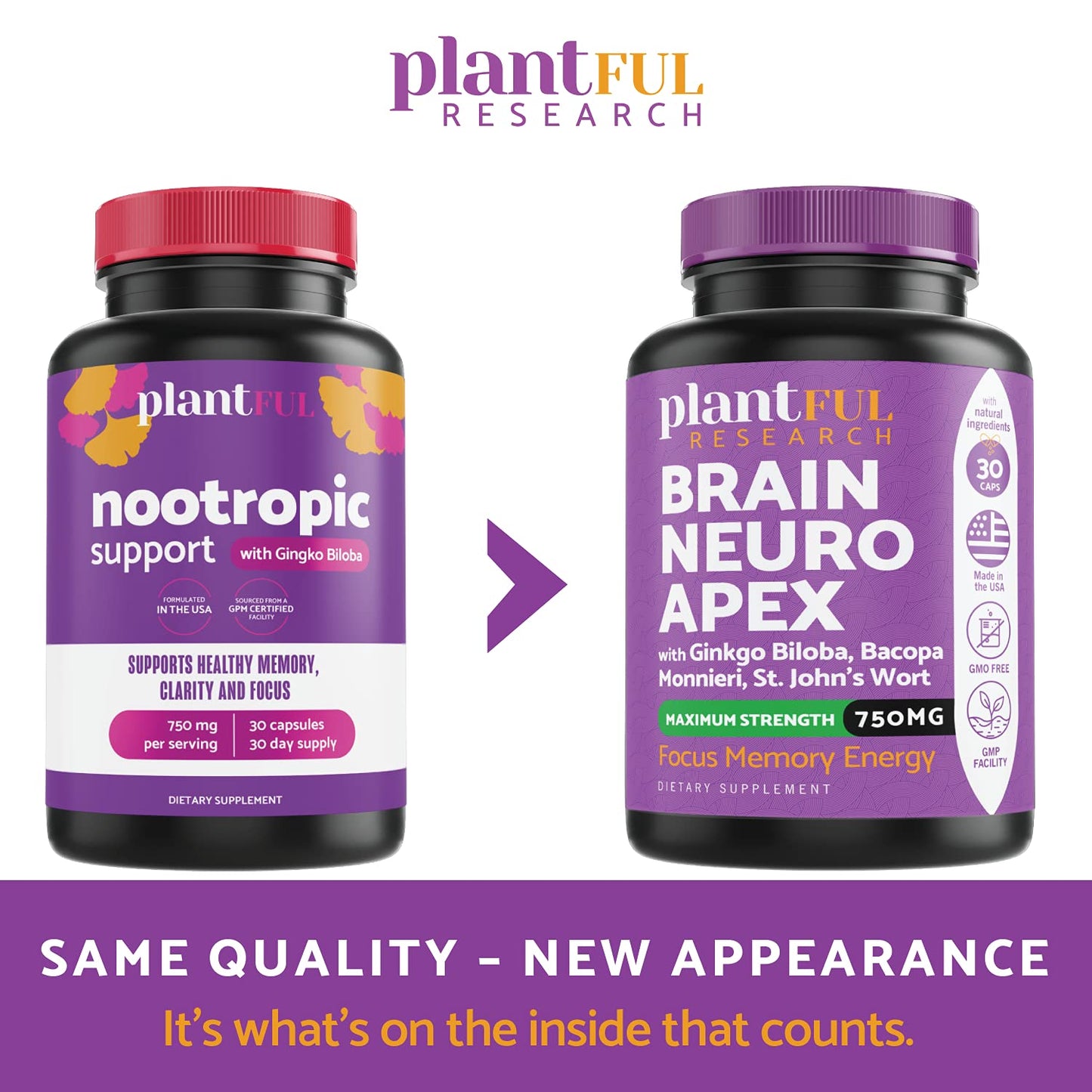 Nootropic Brain Supplement for Focus, Energy & Memory | Fast-Absorption