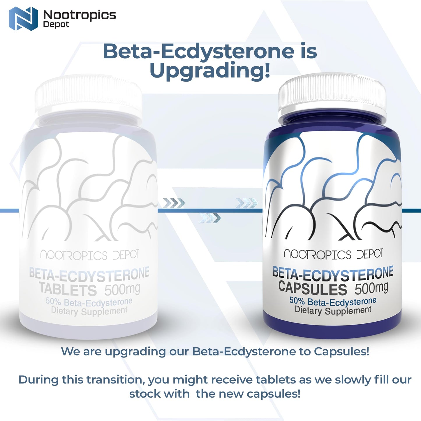 Nootropics Depot Beta Ecdysterone 50% Tablets (500mg) – Cyanotis Arachnoidea Extract, 30 Count