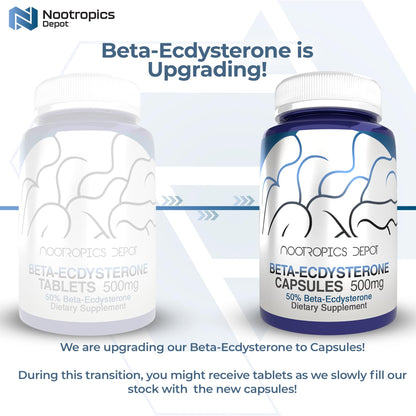 Nootropics Depot Beta Ecdysterone 50% Tablets (500mg) – Cyanotis Arachnoidea Extract, 30 Count