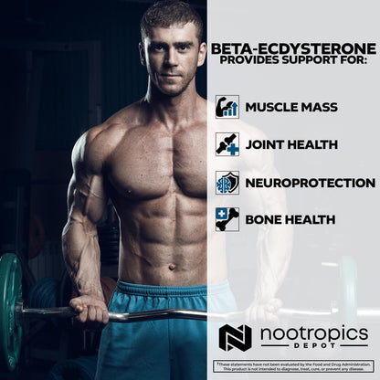 Nootropics Depot Beta Ecdysterone 50% Tablets (500mg) – Cyanotis Arachnoidea Extract, 30 Count