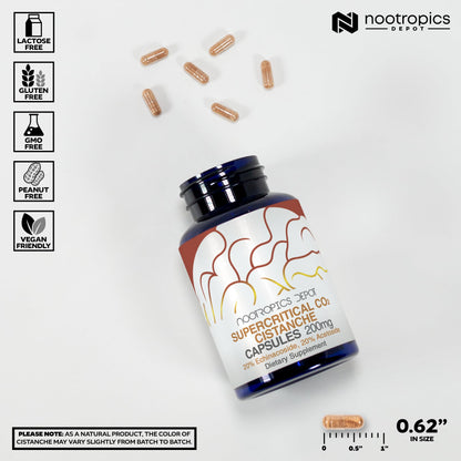Nootropics Depot Cistanche Supercritical CO2 Extract Capsules - 20% Echinacoside & 20% Verbascoside - 120 Count