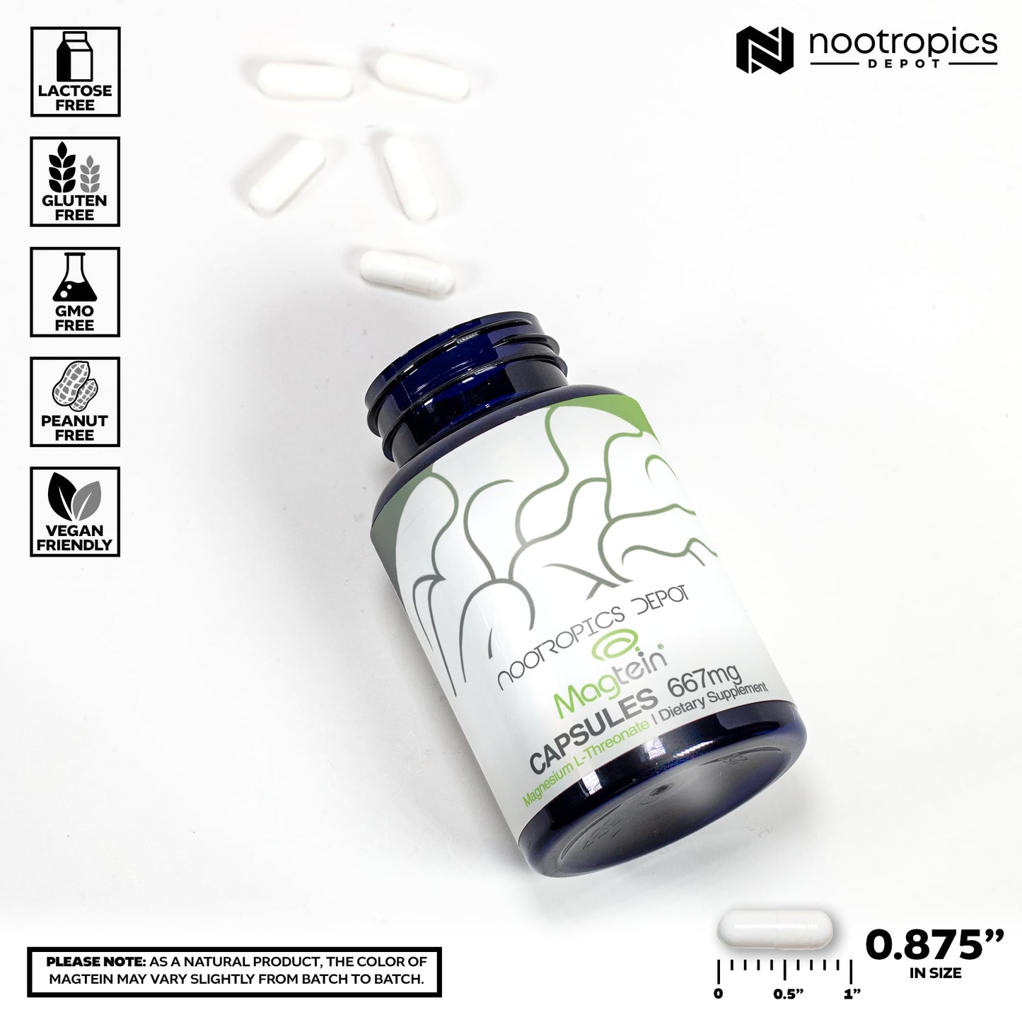 Nootropics Depot Magtein Magnesium L-Threonate Capsules – 90 Count | Cognitive Function Support