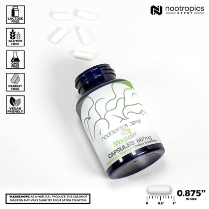 Nootropics Depot Magtein Magnesium L-Threonate Capsules – 90 Count | Cognitive Function Support