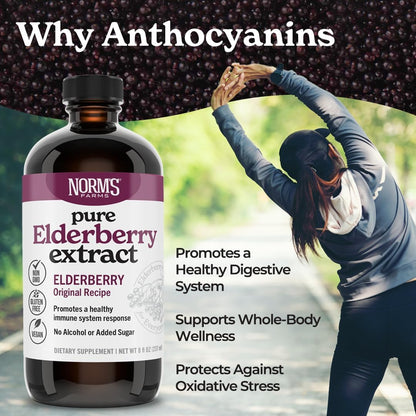 Norm's Farms Elderberry Extract & BeeWellness Syrup 2PK – Immune Support for Kids & Adults, Made in USA