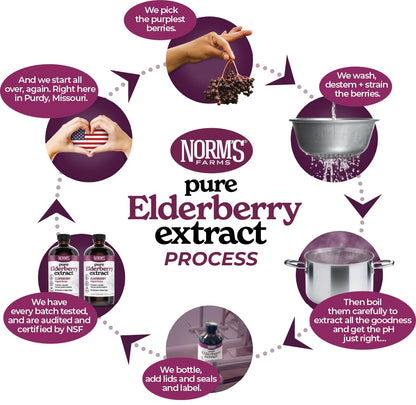 Norm's Farms Elderberry Extract & BeeWellness Syrup 2PK – Immune Support for Kids & Adults, Made in USA
